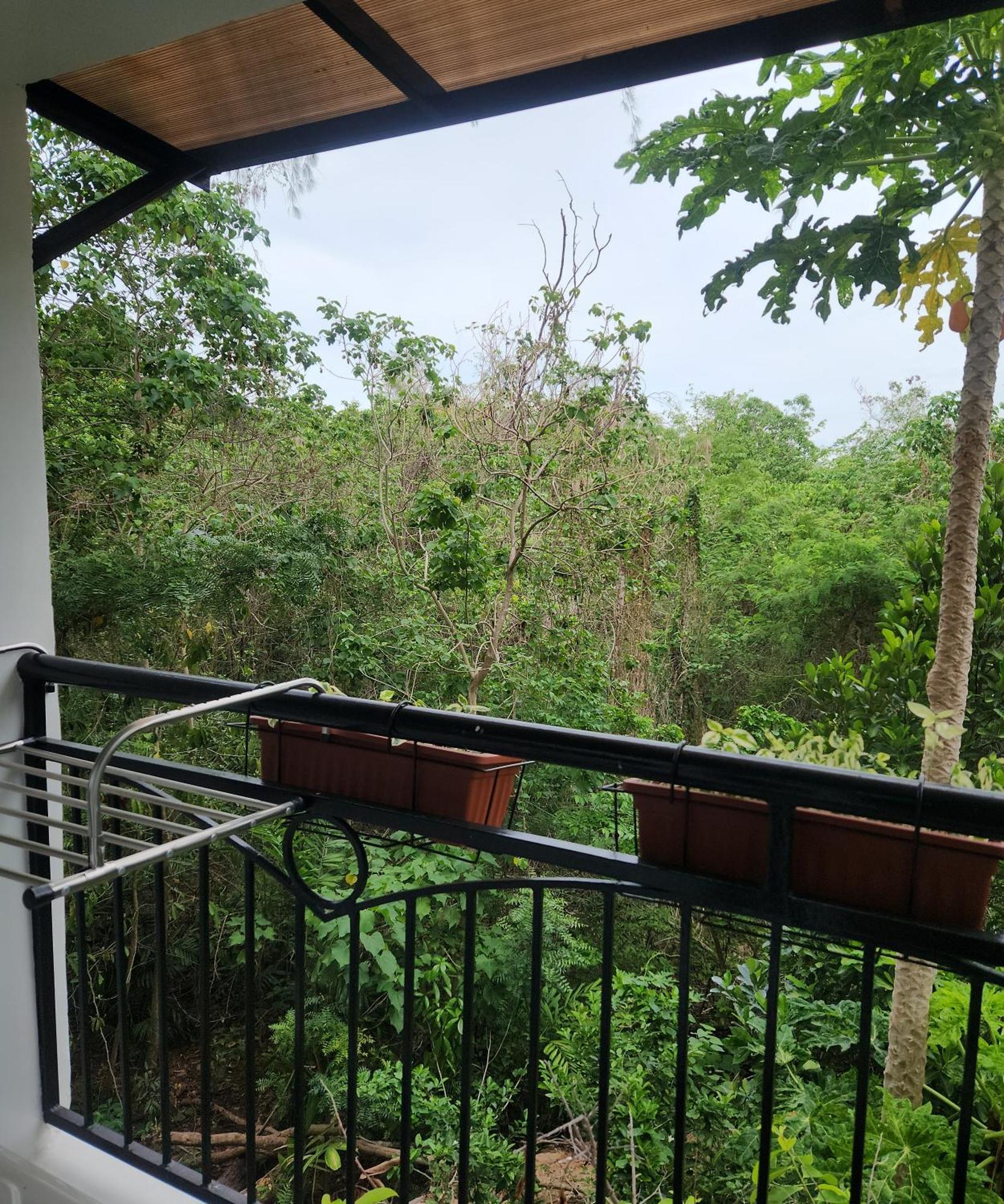 Condo Azur Suites B316 Near Airport, Netflix, Stylish, Cozy With Swimming Pool Lapu-Lapu City Kültér fotó